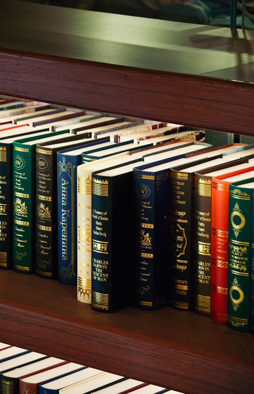 Close up portrait of book bindings sitting elegantly in premium dark shelf wood
